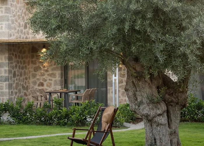 Yannis Retreat